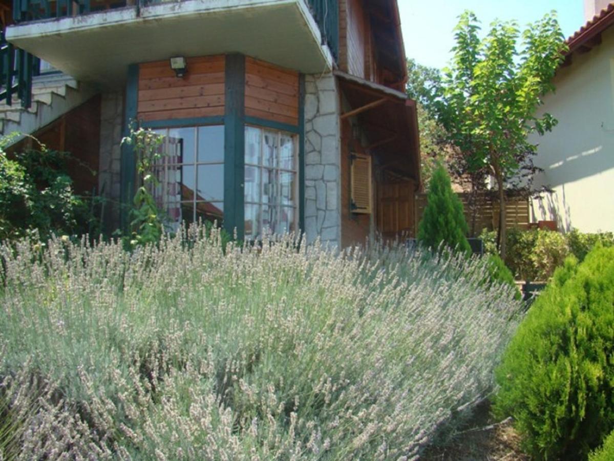 Zeus-Village Οικισμός Φινλανδικών Chalet Με Πισίνες & Γυμναστήριο Molos  Habitación foto